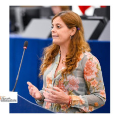Oltre i ceppi di Budapest: Il caso Ilaria Salis tra giustizia, politica e diritto di protesta