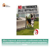 Pipì dei cani da lavare 