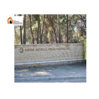 Pescara/Riserva Pineta 