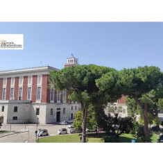 Pescara/Giunta Masci, si dimette l'assessore Gianna Camplone ed entra Romina Faricelli