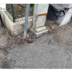 Montesilvano, topi in in via Adige. Carcassa di ratto: residente invia richieste a ASL e Comune.