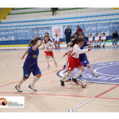 Futsal in Progress, torna in Abruzzo il grande torneo giovanile: 115 partite in quattro giorni