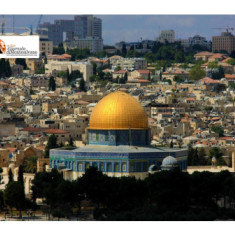 Libertà di opinione, storia e complessità del conflitto israelo-palestinese