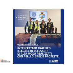 Fiumicino. Stivali da cowboy, abiti e scarpe di canguro, struzzo e pitone bloccati alla dogana