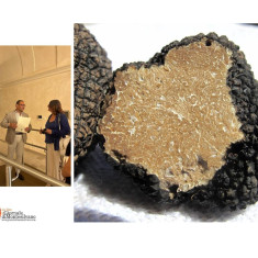 L'Aquila. 7 Paesi al 2º Convegno Internazionale sul Tartufo