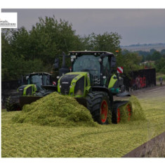 Agricoltori, 60milioni di euro per nuovi aiuti