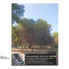 Montesilvano, 