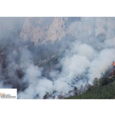 Morrone in fiamme, il presidente di Enbital, Provino: “Serve un'azione rigorosa preventiva”