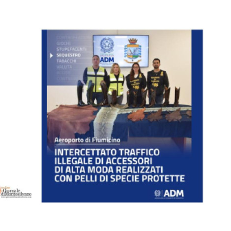 Fiumicino. Stivali da cowboy, abiti e scarpe di canguro, struzzo e pitone bloccati alla dogana