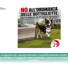 Pipì dei cani da lavare con le bottiglie e, l'ordinanza di Pratola Peligna finisce al TAR Abruzzo: chiesto l'annullamento