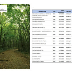 Abruzzo/4 milioni di euro per boschi e foreste, finanziati tutti i progetti