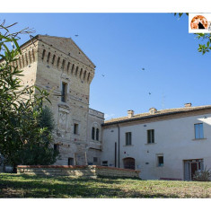 Martinsicuro: primo passo verso il futuro Parco Archeologico di Castrum Truentinum