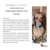 Trasacco sui cani 
