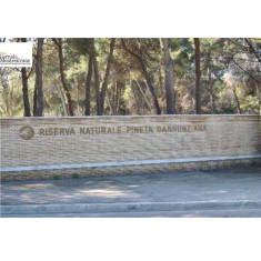Pescara/Riserva Pineta Dannunziana, tre interventi di micro forestazione e restauro forestale