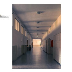 L’anomalia elettorale italiana e lo specchio della scuola