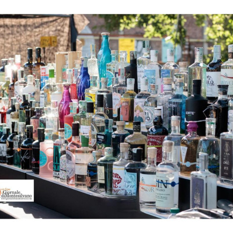 Montesilvano, Gin & Tonic Festival all'Arena dei Fiori