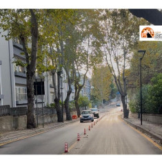 Viabilità, Alfredo Cremonese sul nuovo senso alternato in via Monti di Campli