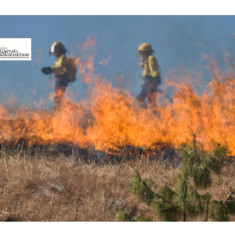 Incendi Abruzzo: in due mesi bruciati 2.532 ettari, pari a 3.546 campi da calcio, gran parte in aree protette.