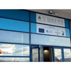 Pescara/emergenza pesca. Pettinari: 