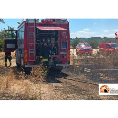 Incendi nel Gargano, in Puglia. 