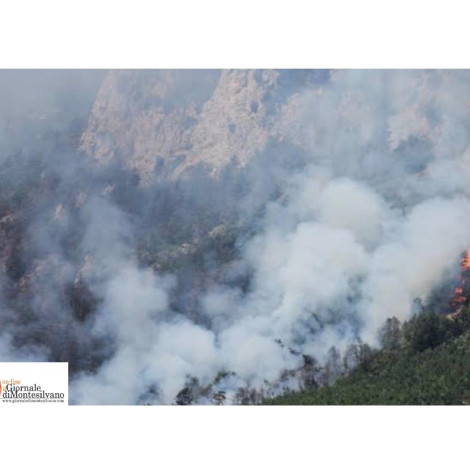Morrone in fiamme, il presidente di Enbital, Provino: “Serve un'azione rigorosa preventiva”
