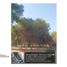 Montesilvano, 