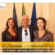 Veterinario sociale. Il nuovo servizio comunale di Pescara