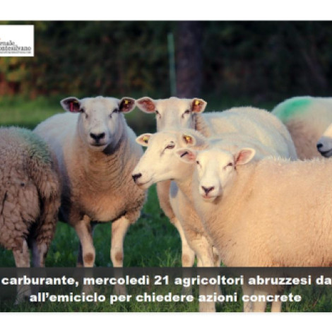 Caro gasolio e prezzi, gli agricoltori delle 4 province torneranno davanti a Palazzo dell’Emiciclo