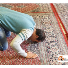 Il catalogo dei disastri in Iran: come la follia bellica di Trump svuota le casse pubbliche per arricchire i signori delle armi