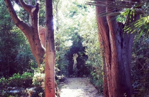 "Viviamo il giardino"  al Parco dei Ligustri a Loreto Aprutino