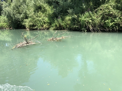 Pescara. D'Incecco e Masci, sopralluogo in catamarano sul fiume.