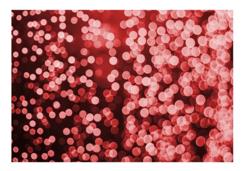 Montesilvano/Natale, 40 mila euro di luminarie. Ballarini: "era meglio destinarli al PIS"