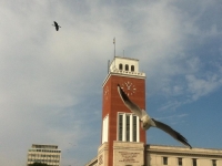Municipio di Pescara