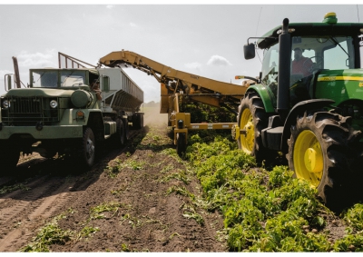 Agricoltura/censimento Istat. "Importante ma il può essere alleggerito"