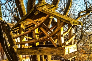 Casetta, acqua e cibo per chi vuole proteggere gli uccellini dal freddo