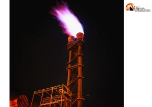 Gas: scende sotto quota 280 euro ad Amsterdam. La crisi energetica urge soluzioni.