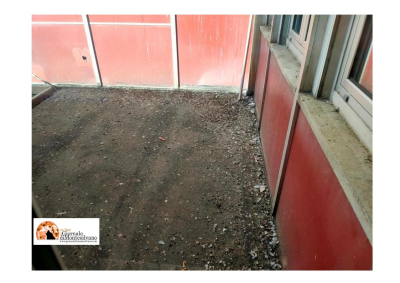 Pescara/ospedale. Guano, degrado e sporcizia nella Palazzina Covid: sanificare con la massima urgenza