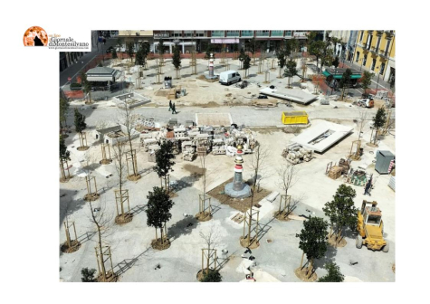 Pescara, Masci: eliminate piante morte con piante giovani. Radici in comune: Cosa accadrà a questi alberi in futuro?