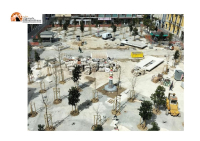 Pescara, Masci: eliminate piante morte con piante giovani. Radici in comune: Cosa accadrà a questi alberi in futuro?