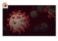 Coronavirus Abruzzo, dati aggiornati al 14 febbraio: oggi 725 nuovi positivi e 1071 guariti
