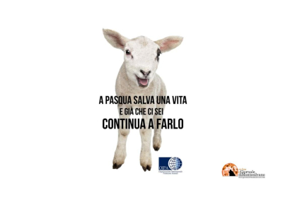 “A Pasqua salva una vita. E già che ci sei salvala sempre” la campagna dell'Oipa