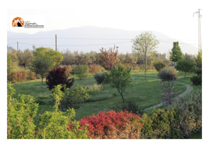 Santa Maria Arabona, appuntamento in giardino…con le rondini Manoppello