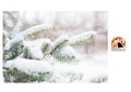 Natale con freddo e neve