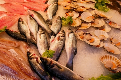 Pesce fresco dell'Adriatico torna a tavola: fine fermo biologico