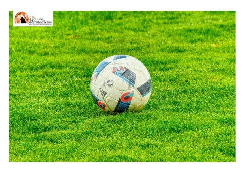 Aiuti di Stato a impresa per oltre 2milioni di euro per centro sportivo, dirottati in altro