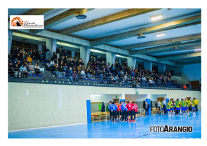 Pallamano. Verso Orlando Haenna - Lions Teramo