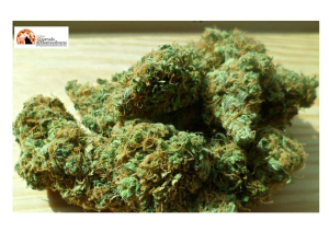 Pescara, processato in direttissima e condannato a 8 mesi spacciatore con etti di hashish