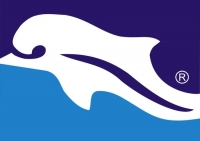 Novara Pescara 1 a 1, salvezza vicina.