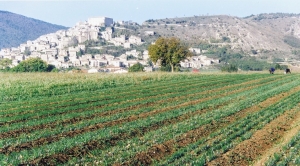 Civitaretenga. “Il nostro Zafferano tra presente e futuro”