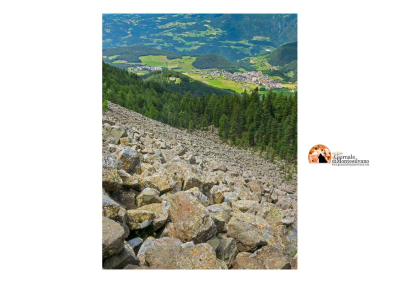 Abruzzo, arriva il sostegno per gli agricoltori.